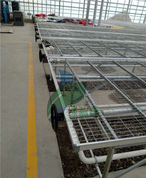 0df5e5f3c0d6d55e429d1d3d09370a20